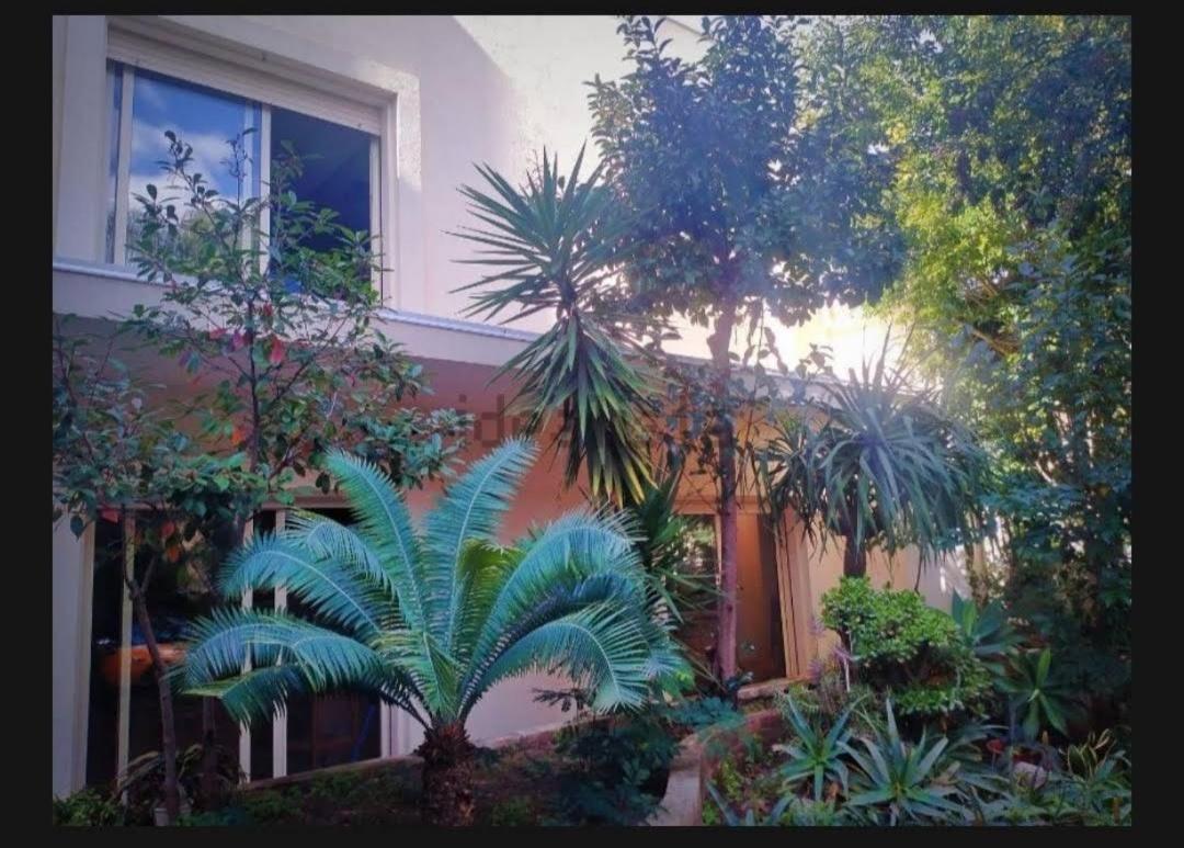 Villa Maya Villa San Giovanni Buitenkant foto